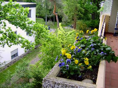 Appartement de vacances /en/au Bad Bellingen (Schwarzwald)ou appartement ou maison de vacances