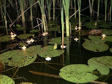 Maison de vacances �/en/au Hj�ltevad (Smaland)ou appartement ou maison de vacances