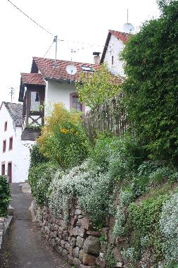 Maison de vacances /en/au Eisenschmitt (Eifel - Ahr)ou appartement ou maison de vacances