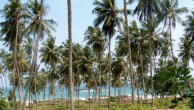 Maison de vacances �/en/au Tangalle (Matara)ou appartement ou maison de vacances