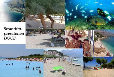 Bateau �/en/au Duce (Splitsko-Dalmatinska)ou appartement ou maison de vacances