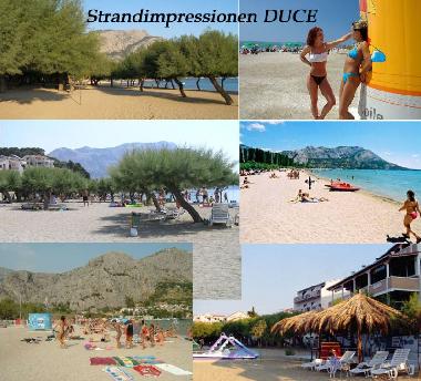 Appartement de vacances �/en/au Duce (Splitsko-Dalmatinska)ou appartement ou maison de vacances