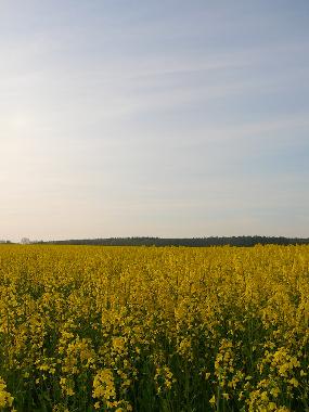 Appartement de vacances �/en/au Leussin (Vorpommern)ou appartement ou maison de vacances