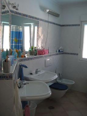 Appartement de vacances /en/au Conil (Cdiz)ou appartement ou maison de vacances