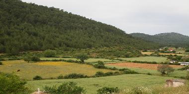 Maison de vacances �/en/au Kayakoy (Mugla)ou appartement ou maison de vacances