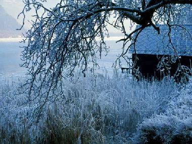 Appartement de vacances /en/au Bodensdorf (Klagenfurt-Villach)ou appartement ou maison de vacances