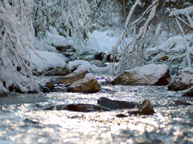 Appartement de vacances /en/au Bodensdorf (Klagenfurt-Villach)ou appartement ou maison de vacances