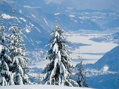 Appartement de vacances /en/au Bodensdorf (Klagenfurt-Villach)ou appartement ou maison de vacances