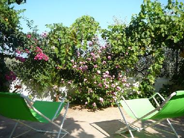 Maison de vacances �/en/au Mattinata (Foggia)ou appartement ou maison de vacances