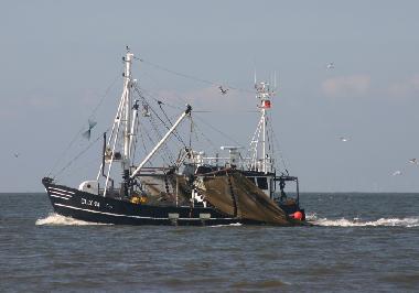 Maison de vacances �/en/au Cuxhaven (Nordsee-Festland / Ostfriesland)ou appartement ou maison de vacances