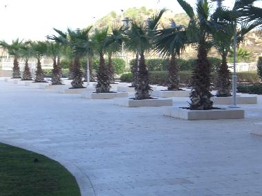 exotic jardin pour location saisonniere dans grand appartement