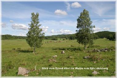 Maison de vacances �/en/au Edsleskog (Dalsland)ou appartement ou maison de vacances