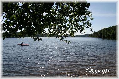 Maison de vacances �/en/au Edsleskog (Dalsland)ou appartement ou maison de vacances