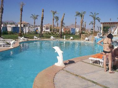 Appartement de vacances �/en/au Naama Bay (Shamal Sina
