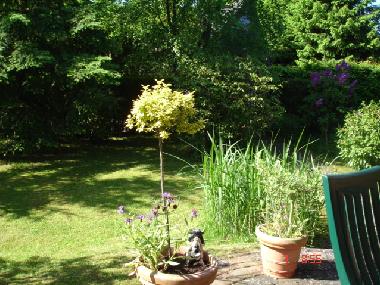 Maison de vacances /en/au Blankenheim (Eifel - Ahr)ou appartement ou maison de vacances