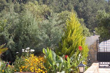 Chalet �/en/au �z�ml� (Mugla)ou appartement ou maison de vacances