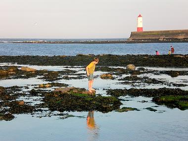 Appartement de vacances �/en/au Berwick upon Tweed (Northumberland and Tyne and Wear)ou appartement ou maison de vacances