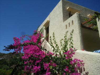 Appartement de vacances �/en/au Kos,Kefalos,Kamari (Dodekanisos)ou appartement ou maison de vacances