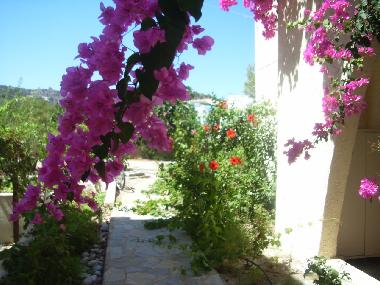 Appartement de vacances �/en/au Kos,Kefalos,Kamari (Dodekanisos)ou appartement ou maison de vacances