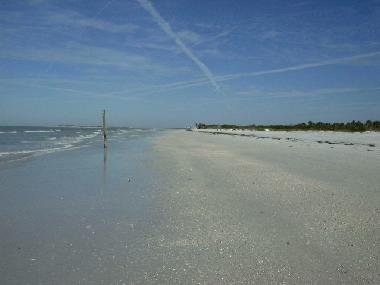 Maison de vacances /en/au Clearwater Beach (Florida)ou appartement ou maison de vacances