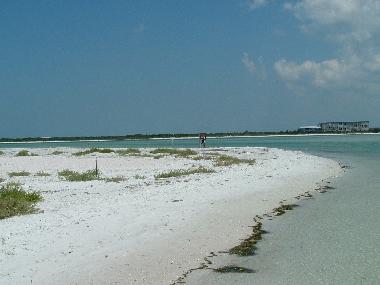 Maison de vacances /en/au Clearwater Beach (Florida)ou appartement ou maison de vacances