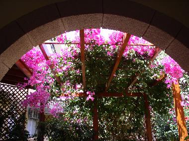 Appartement de vacances /en/au Lindos (Dodekanisos)ou appartement ou maison de vacances