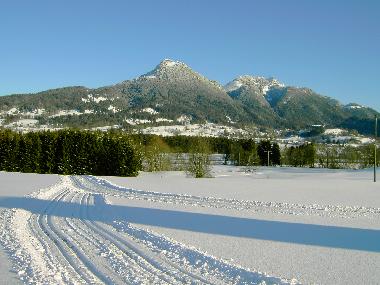 Maison de vacances /en/au Fischbachau (Oberbayern)ou appartement ou maison de vacances