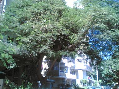 Appartement de vacances �/en/au Cairo (Al Qahirah)ou appartement ou maison de vacances