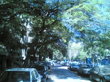 Appartement de vacances �/en/au Cairo (Al Qahirah)ou appartement ou maison de vacances