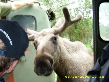 Maison de vacances �/en/au Ishult (Smaland)ou appartement ou maison de vacances