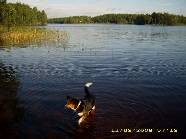 Maison de vacances �/en/au Ishult (Smaland)ou appartement ou maison de vacances
