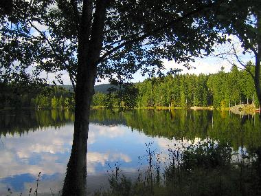 Appartement de vacances �/en/au Bad Elster  (Vogtland)ou appartement ou maison de vacances