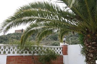 vue sur terrasse