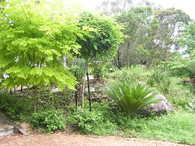 Appartement de vacances �/en/au Frenchs Forest (New South Wales)ou appartement ou maison de vacances