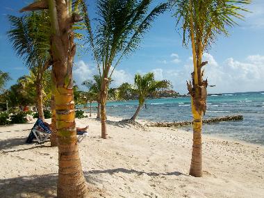 Appartement de vacances �/en/au Puerto Aventuras (Quintana Roo)ou appartement ou maison de vacances