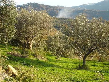 Appartement de vacances /en/au Ogliastro Cilento (Salerno)ou appartement ou maison de vacances