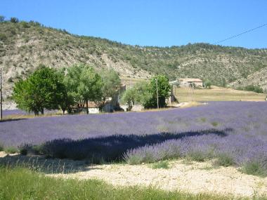 Maison de vacances �/en/au Montbrun-Les-Bains (Vaucluse)ou appartement ou maison de vacances