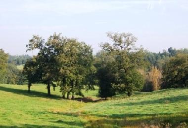 Maison de vacances /en/au Orgnac-sur-Vzre (Corrze)ou appartement ou maison de vacances