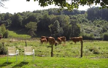 Maison de vacances /en/au Orgnac-sur-Vzre (Corrze)ou appartement ou maison de vacances