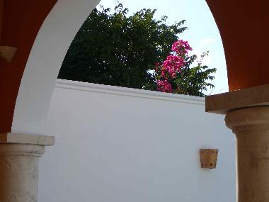 Chambre avec petit d�jeuner �/en/au Merida (Yucatan)ou appartement ou maison de vacances