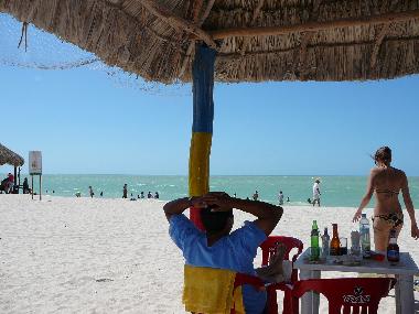 Chambre avec petit d�jeuner �/en/au Merida (Yucatan)ou appartement ou maison de vacances