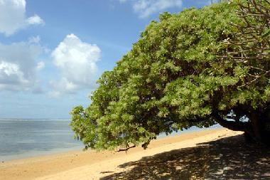 Maison de vacances �/en/au Sanur (Bali)ou appartement ou maison de vacances