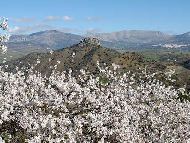 Maison de vacances �/en/au Comares (M�laga)ou appartement ou maison de vacances