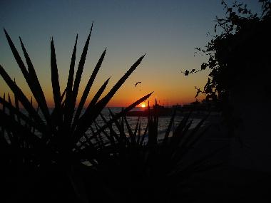 Appartement de vacances �/en/au Punta Lara, Nerja (M�laga)ou appartement ou maison de vacances