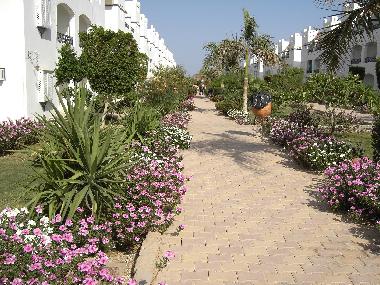 Appartement de vacances �/en/au Sharm el Sheikh (Janub Sina