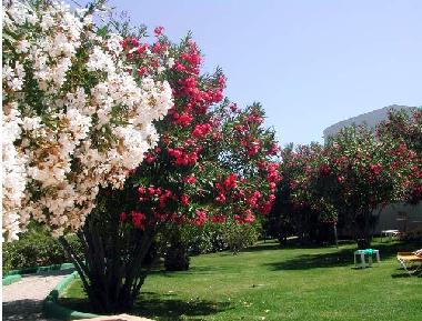 Appartement de vacances �/en/au Carvoeiro (Algarve)ou appartement ou maison de vacances