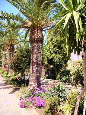Maison de vacances /en/au Oliveri (Messina)ou appartement ou maison de vacances