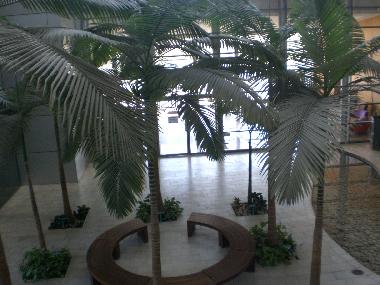 Appartement de vacances �/en/au Herzliyya (HaMerkaz (Central))ou appartement ou maison de vacances