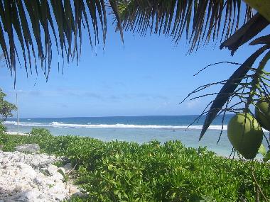 Maison de vacances �/en/au RAROTONGA (Cookinseln)ou appartement ou maison de vacances