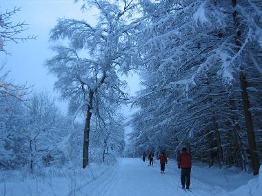 Maison de vacances �/en/au Gersfeld (Rh�n)ou appartement ou maison de vacances